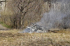 С наступлением теплой погоды в столице увеличилось количество загораний на открытых территориях